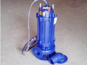 無(wú)堵塞排污泵